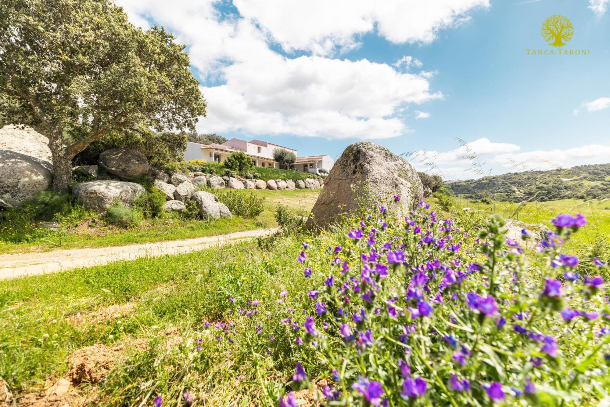 Agriturismo Bed And Breakfast Tanca Taroni Telti Kültér fotó