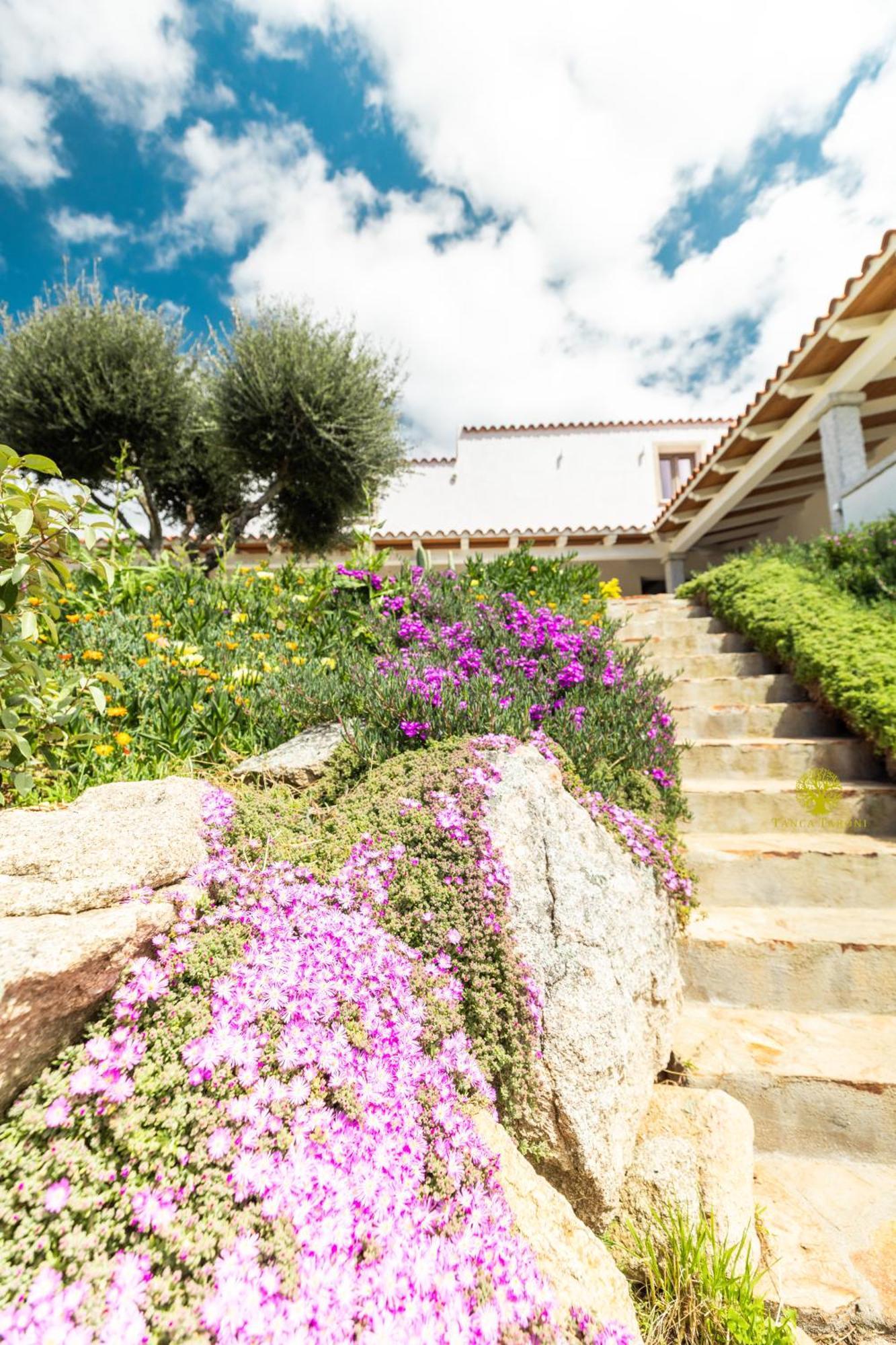 Agriturismo Bed And Breakfast Tanca Taroni Telti Kültér fotó